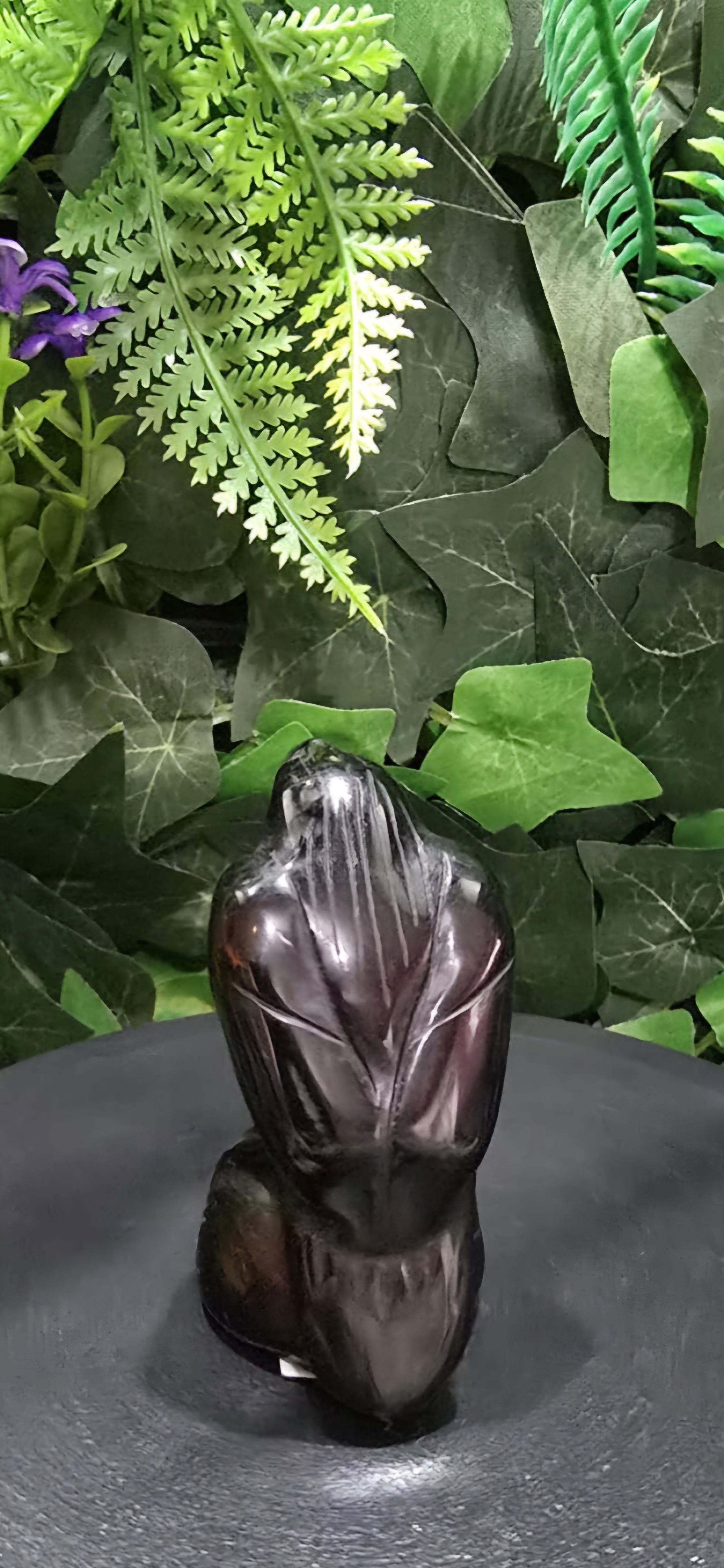 Black obsidian raven