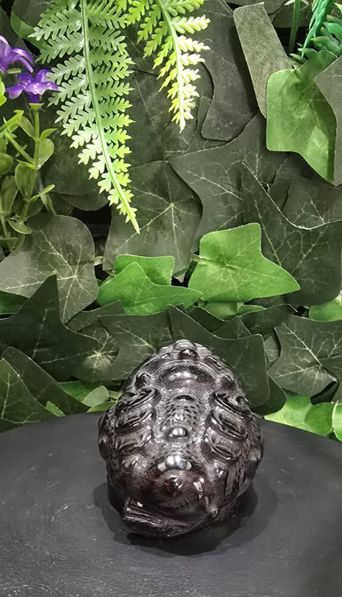 Black Obsidian Money Toad