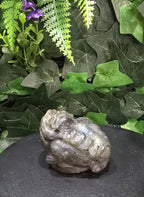 Labradorite Money Toad