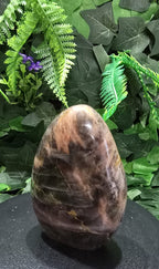 Black Moonstone Teardrop