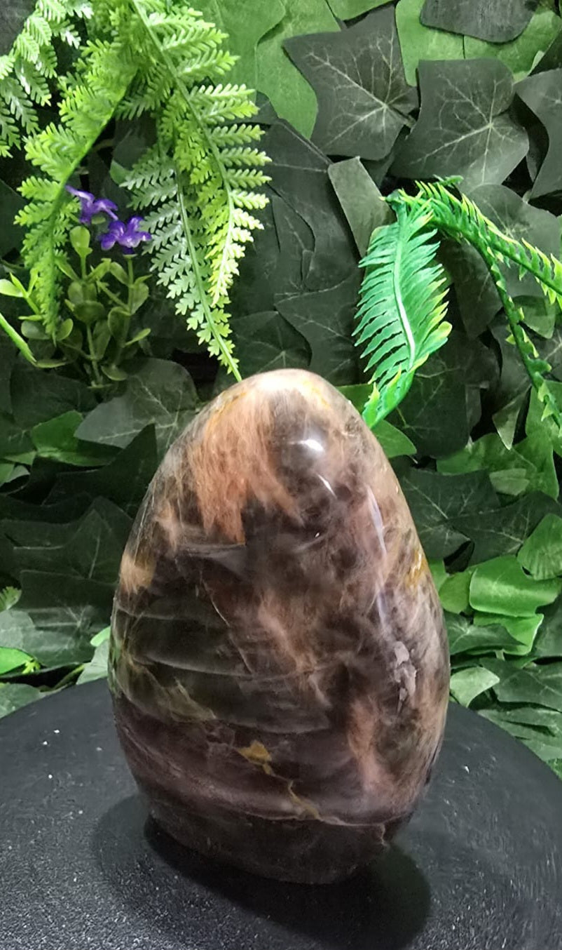 Black Moonstone Teardrop