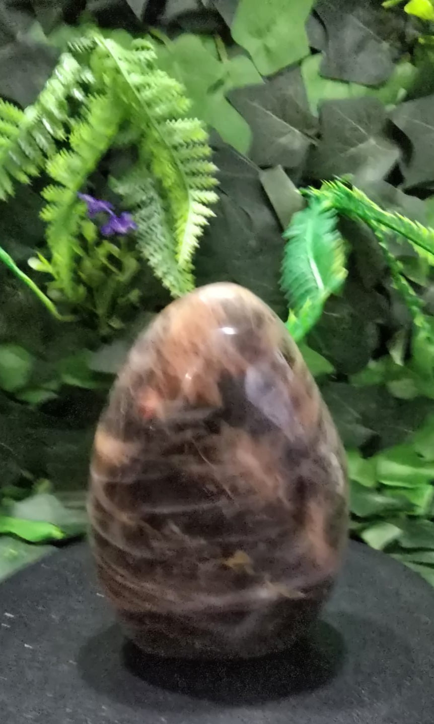 Black Moonstone Teardrop