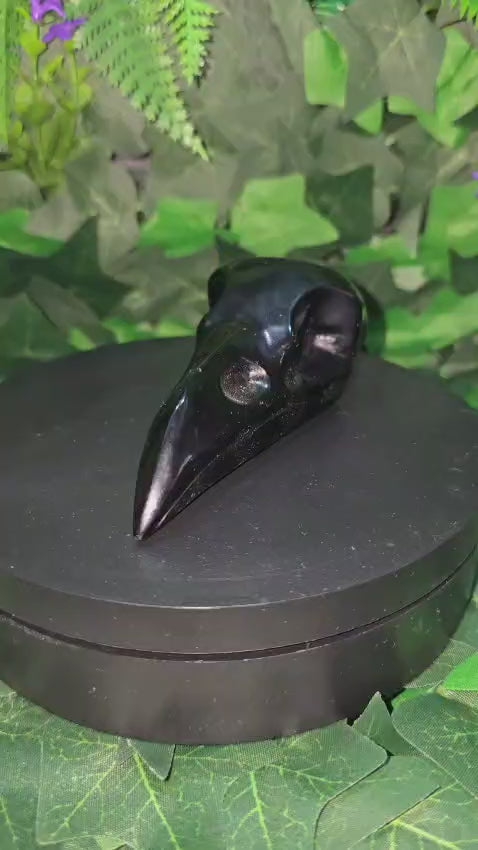 Black Obsidian Raven Skull