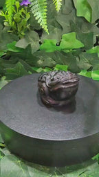Black Obsidian Money Toad