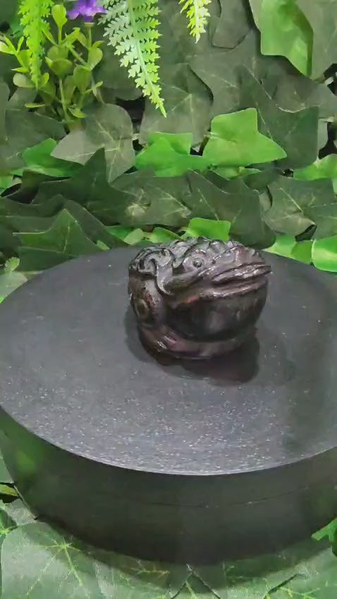 Black Obsidian Money Toad