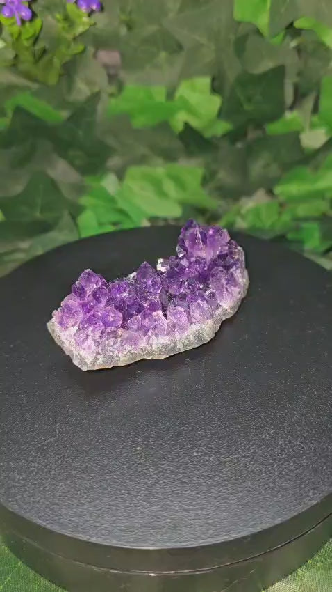 Amethyst Raw Cluster 5